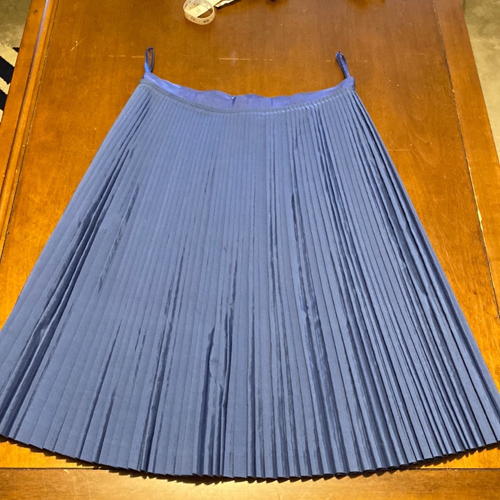 Pleated Blue Womens Skirt